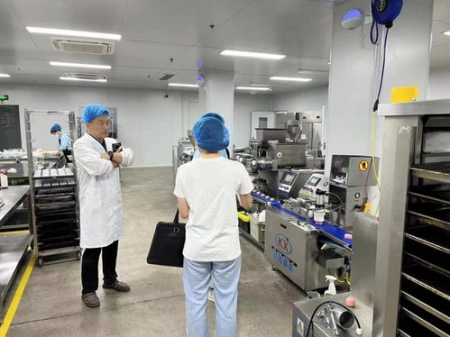 淄博淄川 四個提升助力食品生產企業高質效發展，電子產品技術開發與銷售融合賦能